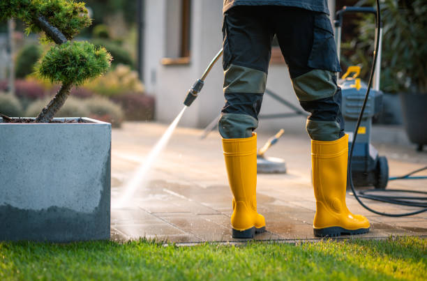 Best Power Washing Near Me  in Risg Sun, IN